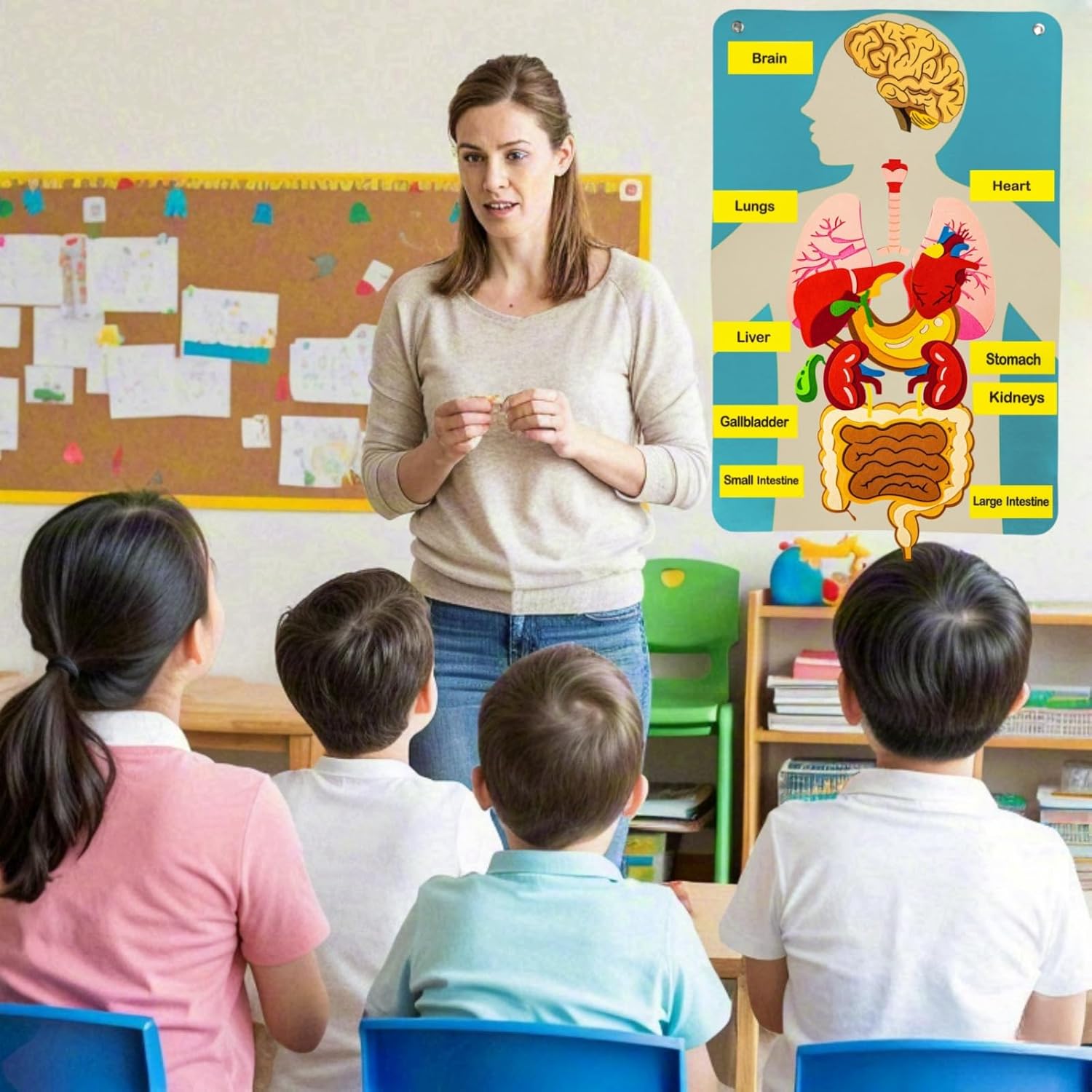 أجزاء جسم الإنسان قصص لوحية لل - مراجعة Kids Education Story وسعره