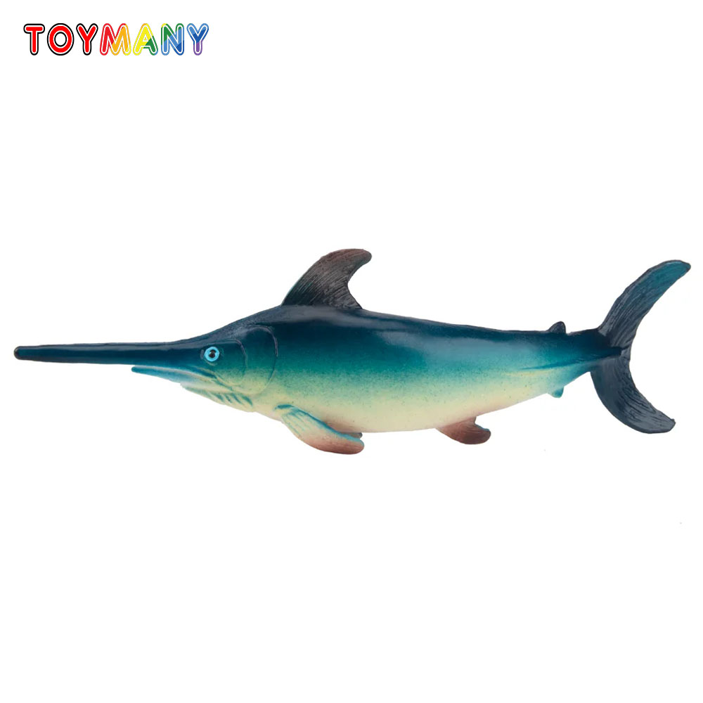 Toymany واقعية أبو سيف المحيط  - مراجعة Kids First Education وسعره
