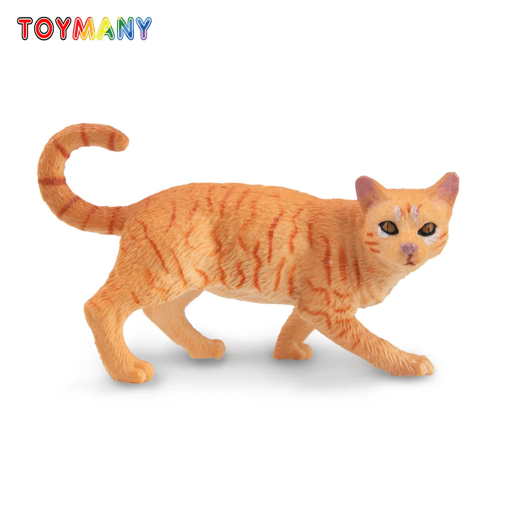 Toymany محاكاة تجول البرتقال ا - مراجعة Kids First Education وسعره